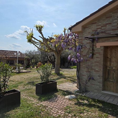 Apartament Casa Sabbatini SantʼElpidio a Mare Zewnętrze zdjęcie