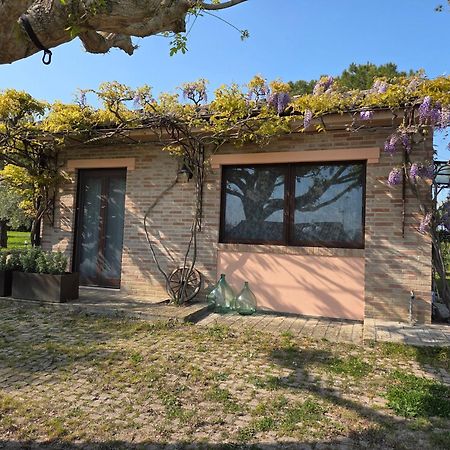 Apartament Casa Sabbatini SantʼElpidio a Mare Zewnętrze zdjęcie