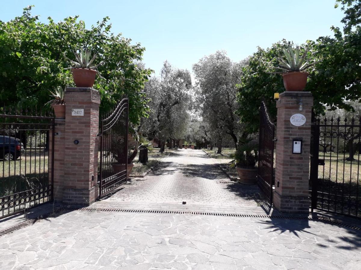 Apartament Casa Sabbatini SantʼElpidio a Mare Zewnętrze zdjęcie