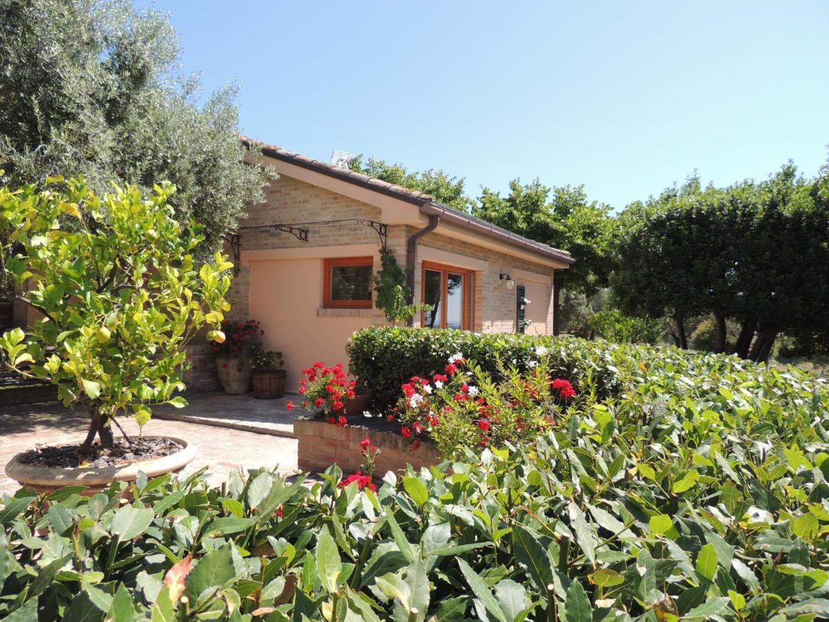 Apartament Casa Sabbatini SantʼElpidio a Mare Zewnętrze zdjęcie