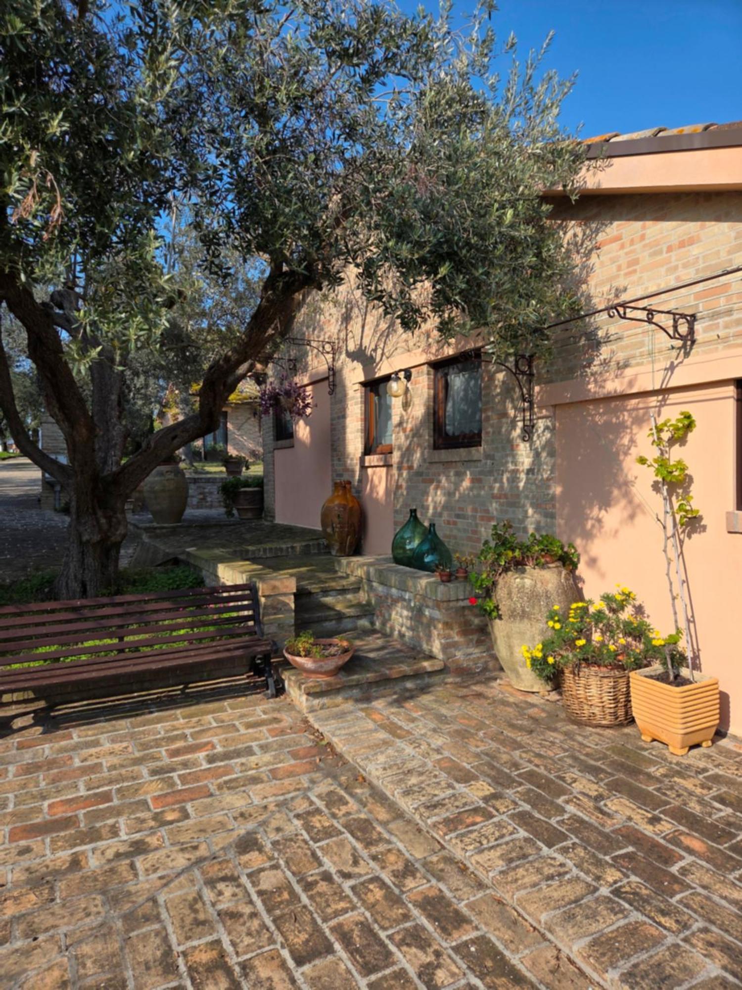 Apartament Casa Sabbatini SantʼElpidio a Mare Zewnętrze zdjęcie