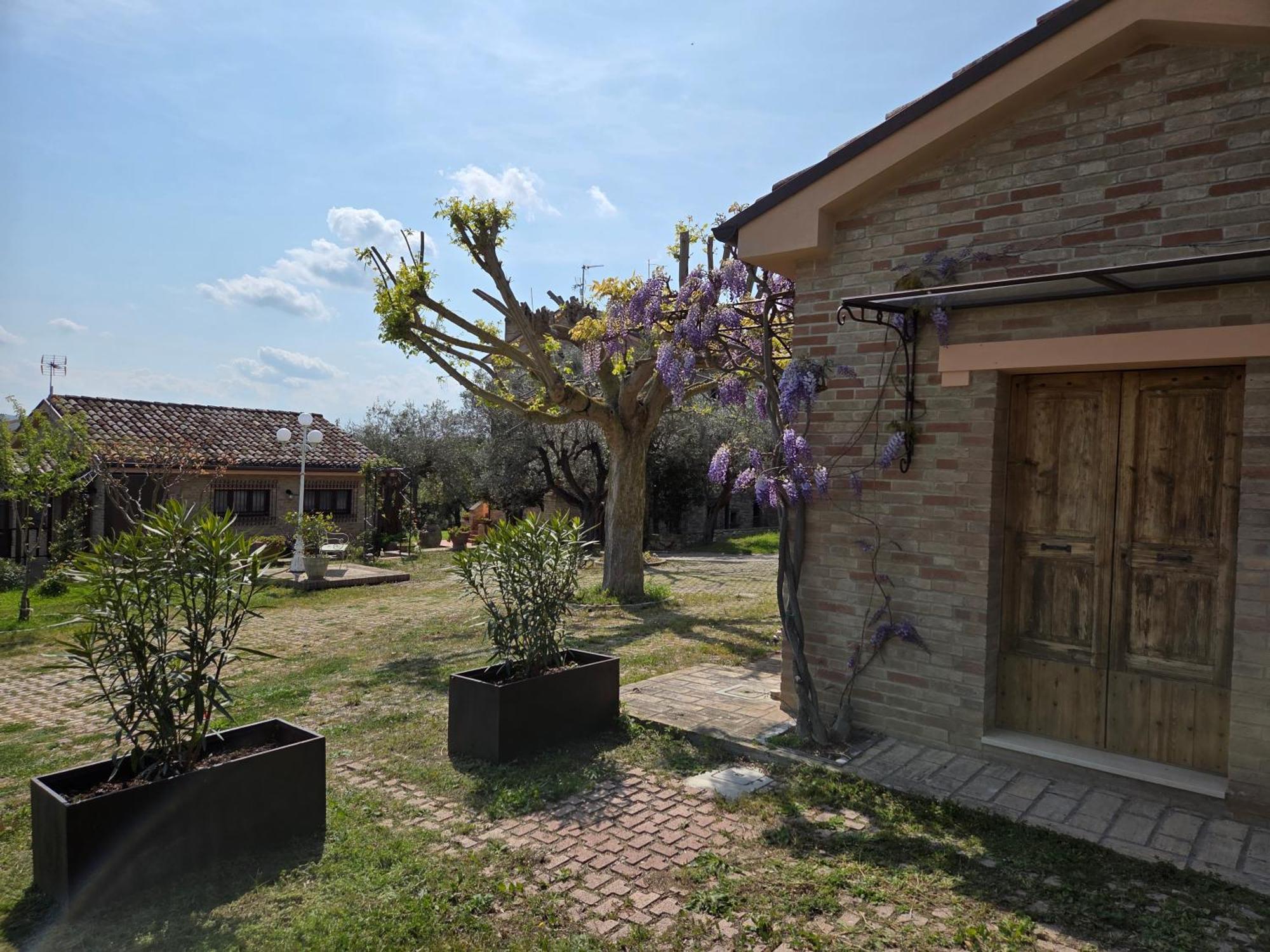 Apartament Casa Sabbatini SantʼElpidio a Mare Zewnętrze zdjęcie