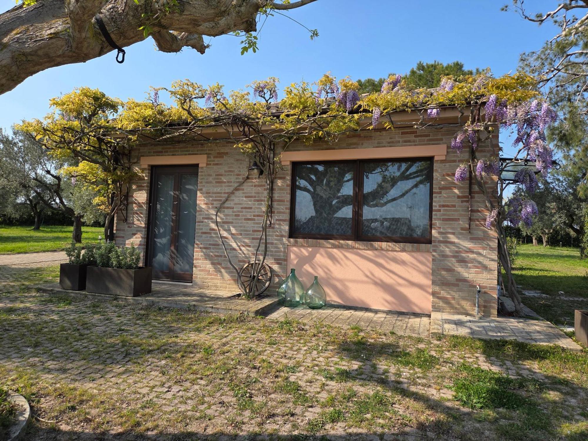 Apartament Casa Sabbatini SantʼElpidio a Mare Zewnętrze zdjęcie
