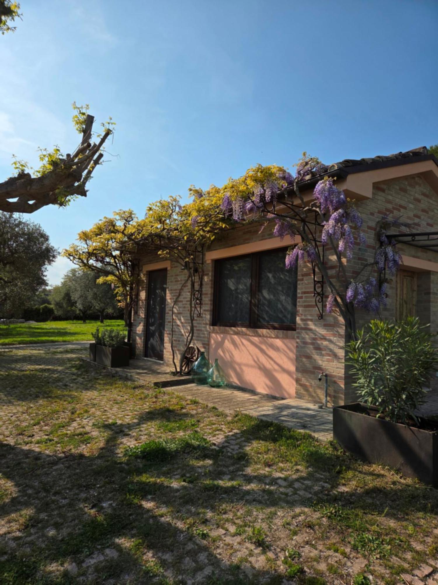 Apartament Casa Sabbatini SantʼElpidio a Mare Zewnętrze zdjęcie